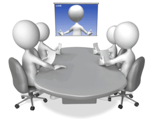 Virtual Finance Director